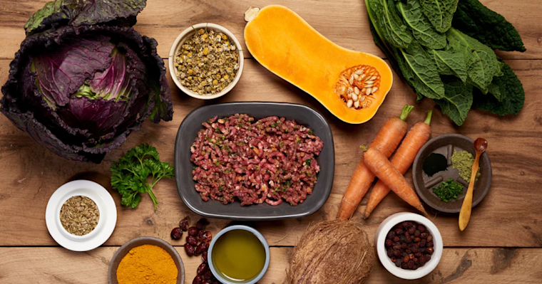 Empresa britânica de alimentos crus para animais de estimação não percebeu quanto dados estava perdendo ao usar o Klaviyo